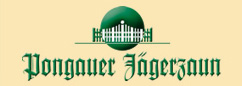 Logo Pongauer